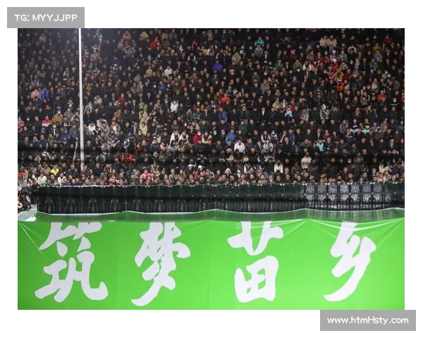 村BA现象对乡村文化认同激活作用的研究与启示